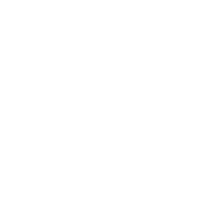 Heavy Rail